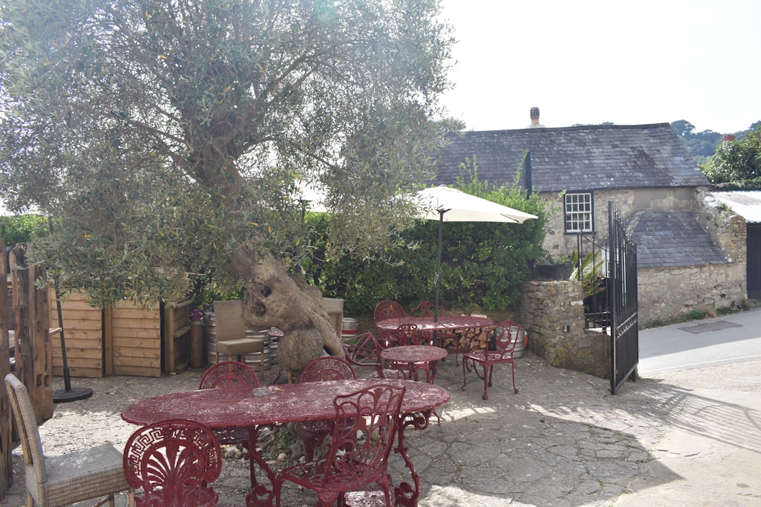 Transforming Outdoor Spaces into Stunning Retreats